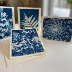 Patricia Vega Fine Art & Design