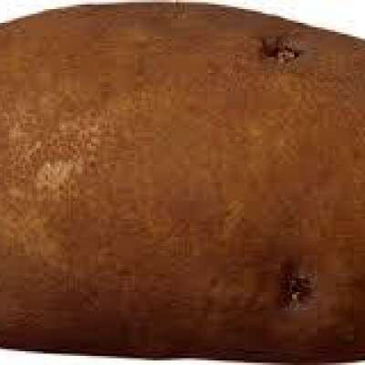 Potato Festival