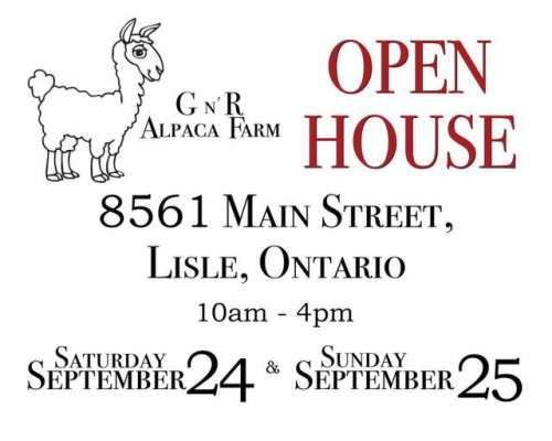 Gn'R  Alpaca Farm Open House